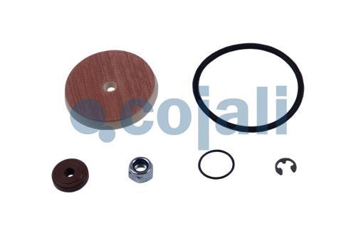 VALVE REPAIR KIT, 6012247, 4324100012