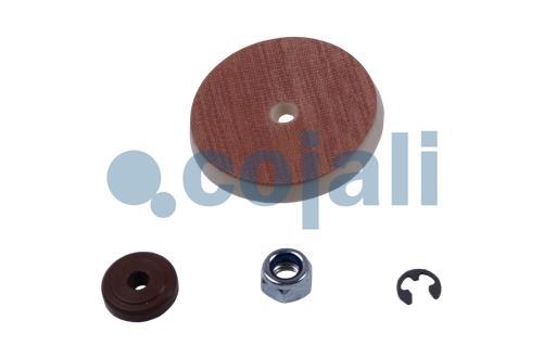 VALVE REPAIR KIT, 6012247, 4324100012