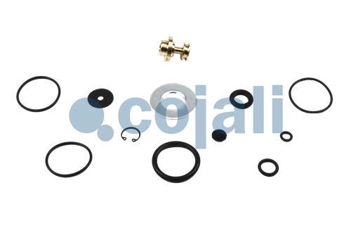 VALVE REPAIR KIT, 6012248, 9324000002