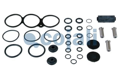 VALVE REPAIR KIT, 6012276, 4729009032