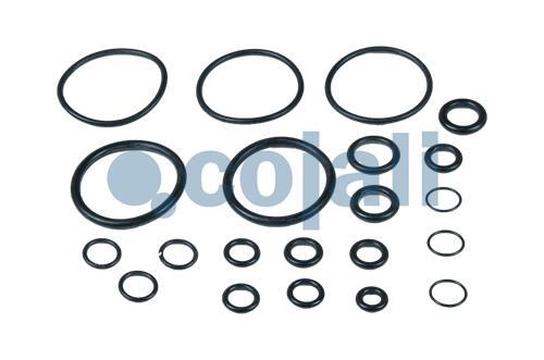 VALVE REPAIR KIT, 6012276, 4729009032