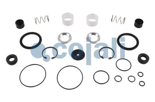 VALVE REPAIR KIT, 6012306, NO OEM