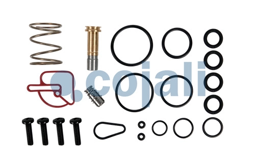 VALVE REPAIR KIT, 6012346, NO OEM