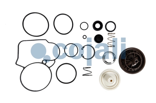 VALVE REPAIR KIT, 6012355, 4802049202