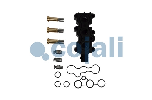 VALVE REPAIR KIT, 6012382, 4423020021