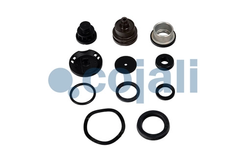 CLUTCH SERVO REPAIR KIT | 6012437