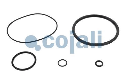 VALVE REPAIR KIT, 6014011, NO OEM