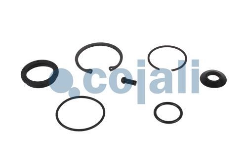 VALVE REPAIR KIT, 6014036, 1487010221