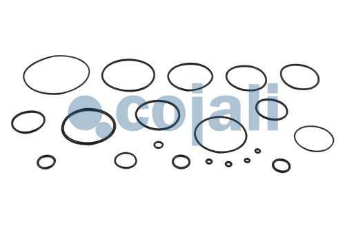 VALVE REPAIR KIT, 6014056, NO OEM