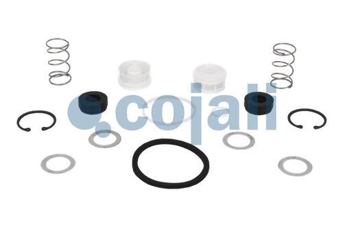 VALVE REPAIR KIT, 6014060, NO OEM