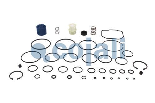 VALVE REPAIR KIT, 6014066, NO OEM