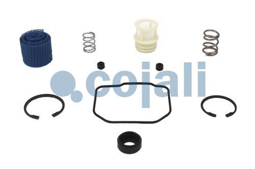 VALVE REPAIR KIT, 6014066, NO OEM