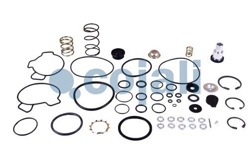 VALVE REPAIR KIT, 6014101, I829190051