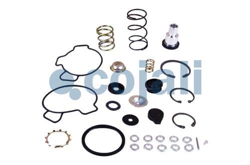 VALVE REPAIR KIT, 6014101, I829190051