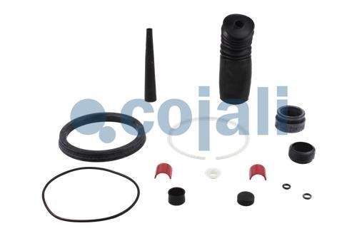 SPRING BRAKE REPAIR KIT | 6014104