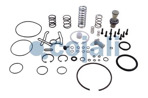 VALVE REPAIR KIT, 6014110, II37677008