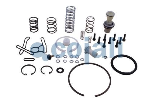 VALVE REPAIR KIT, 6014110, II37677008