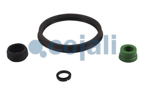 SPRING BRAKE REPAIR KIT, 6014123, I86074