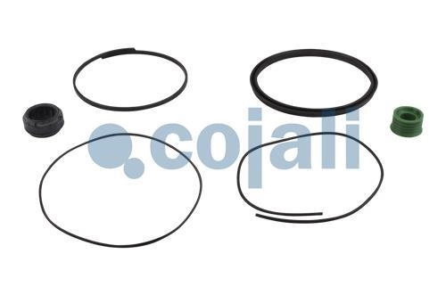 SPRING BRAKE REPAIR KIT | 6014127