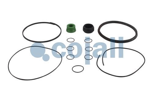 SPRING BRAKE REPAIR KIT | 6014128