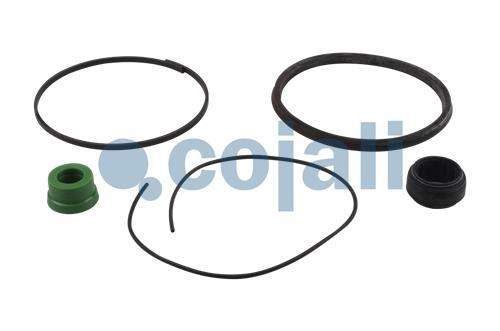 SPRING BRAKE REPAIR KIT, 6014128, I87703