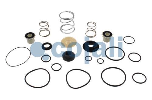 VALVE REPAIR KIT, 6014134, I80450