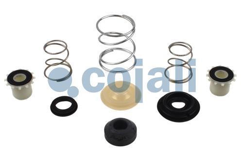 VALVE REPAIR KIT, 6014134, I80450