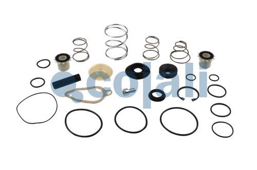 VALVE REPAIR KIT, 6014137, I92238008