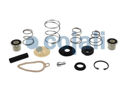 VALVE REPAIR KIT, 6014137, I92238008