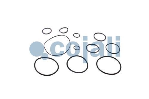 VALVE REPAIR KIT, 6014137, I92238008