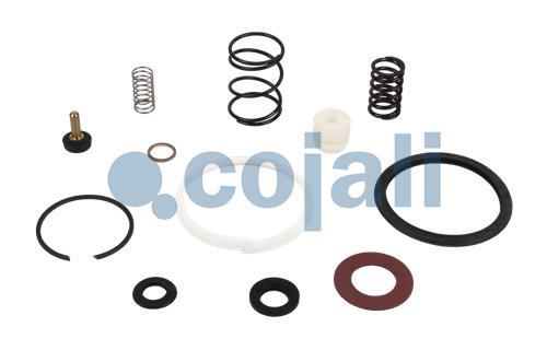 VALVE REPAIR KIT, 6014147, II36245008*X