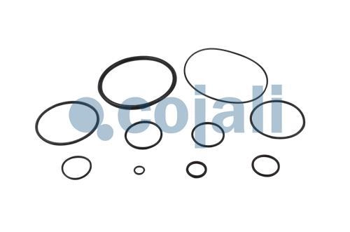 VALVE REPAIR KIT, 6014186, SEB22068