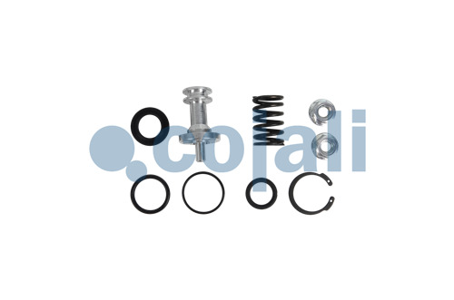 VALVE REPAIR KIT, 6014240, K066243K50