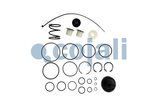 VALVE REPAIR KIT, 6014244, II36302008