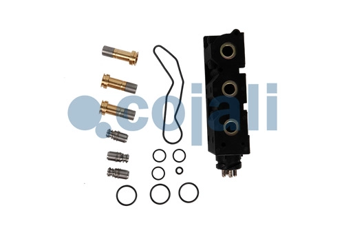 VALVE REPAIR KIT, 6014261, NO OEM