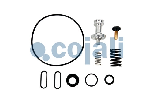 VALVE REPAIR KIT, 6014266, K007827K50