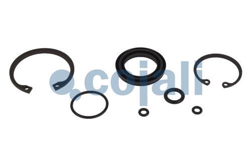 VALVE REPAIR KIT, 6014404, 076670801000