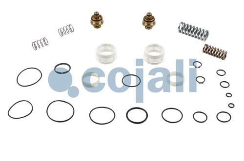 VALVE REPAIR KIT, 6014459, 076640605000*X