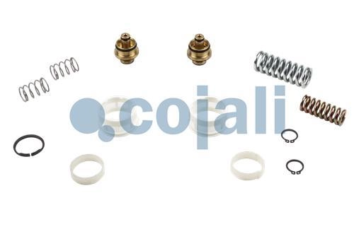 VALVE REPAIR KIT, 6014459, 076640605000*X