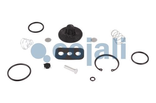 VALVE REPAIR KIT, 6014600, SK2612/1