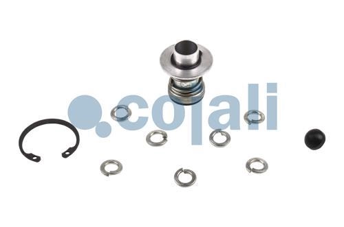 VALVE REPAIR KIT, 6014610, SK2677/1