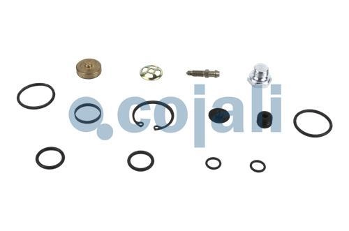 CLUTCH SERVO REPAIR KIT | 6014615