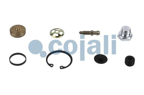 CLUTCH SERVO REPAIR KIT, 6014615, 1423079