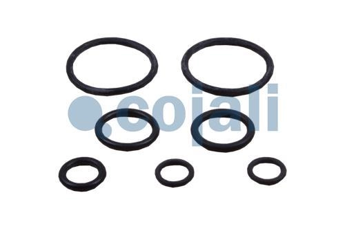 CLUTCH SERVO REPAIR KIT, 6014619, 1426591