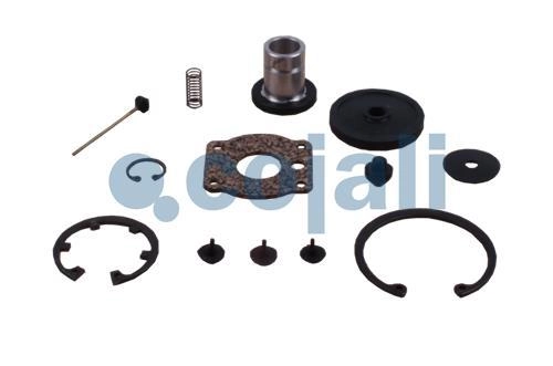 VALVE REPAIR KIT, 6016021, NO OEM