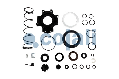 CLUTCH SERVO REPAIR KIT | 6032011