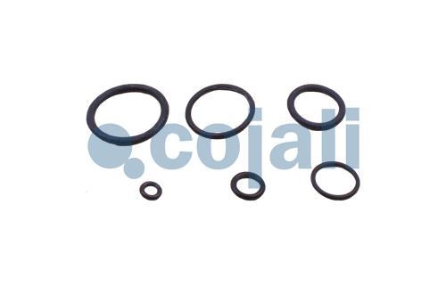 CLUTCH SERVO REPAIR KIT, 6034002, II14195008