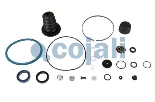 CLUTCH SERVO REPAIR KIT, 6034024, 628476AM