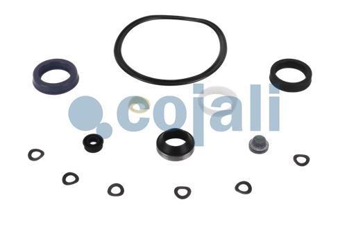 CLUTCH SERVO REPAIR KIT, 6034039, 622135AM