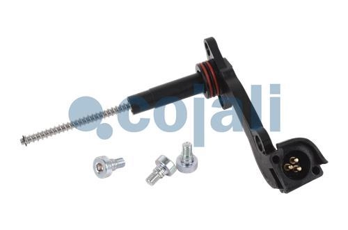 BRAKE CALIPER REPAIR KIT | 6082003